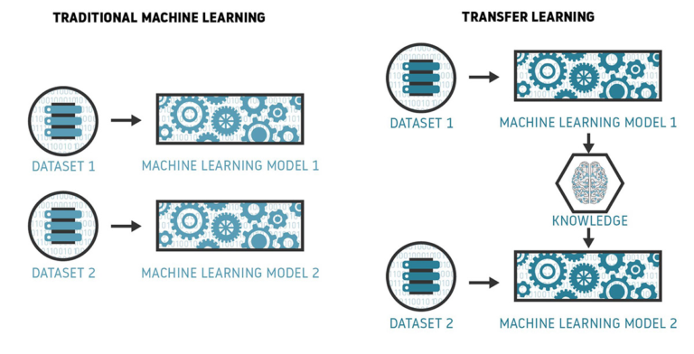 Is Transfer Learning A Shortcut To Model Greatness?