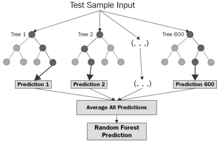 How Do Random Forests Keep Things Fresh?