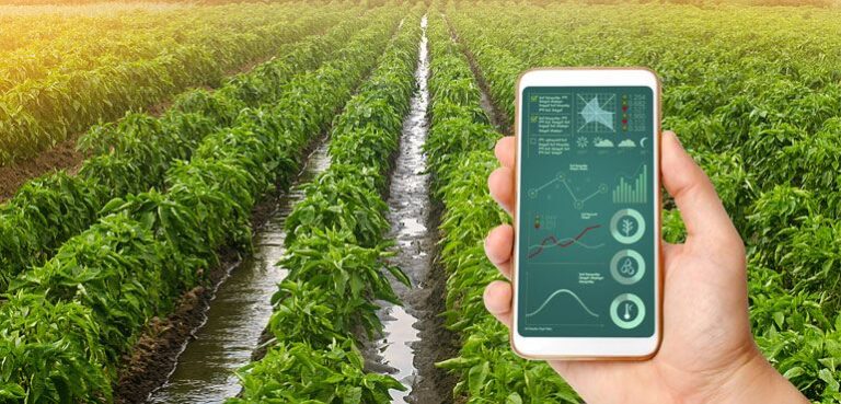 What’s The Future Of Automation In Agriculture?