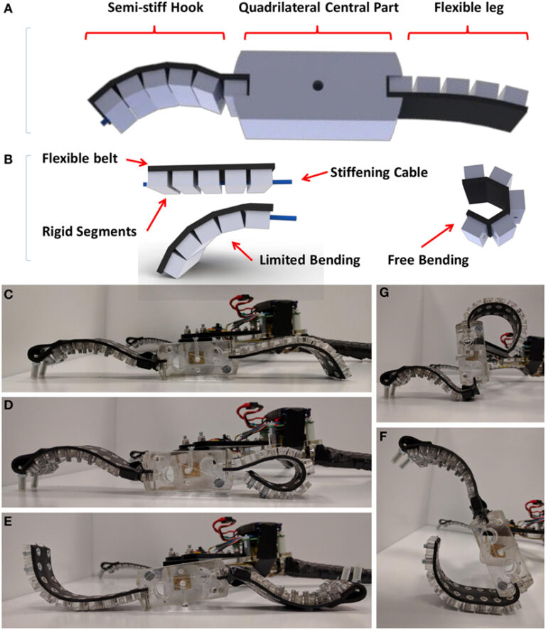 What’s The Latest In Soft Robotics?