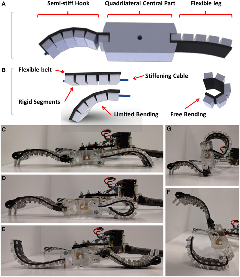 What's the latest in soft robotics?