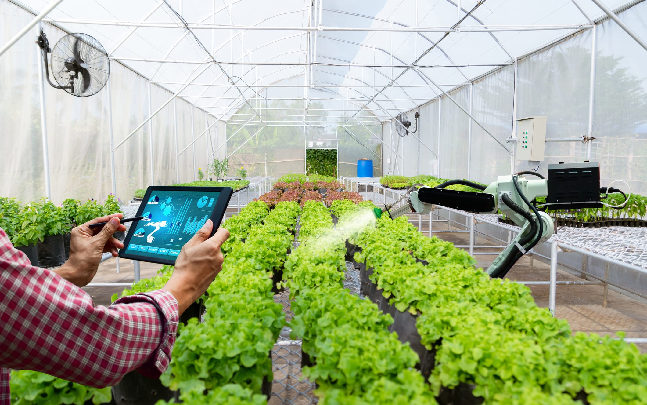 What's the role of robotics in agriculture?