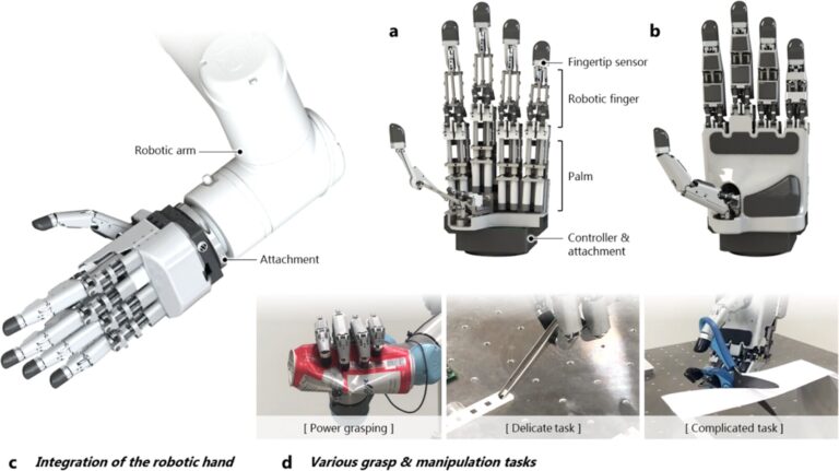 Home 12 How Do Robots Handle Delicate Tasks?