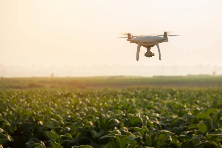 Home 12 What’s The Skinny On Swarm Robotics In Agriculture?