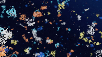 img 6810e466b2054
