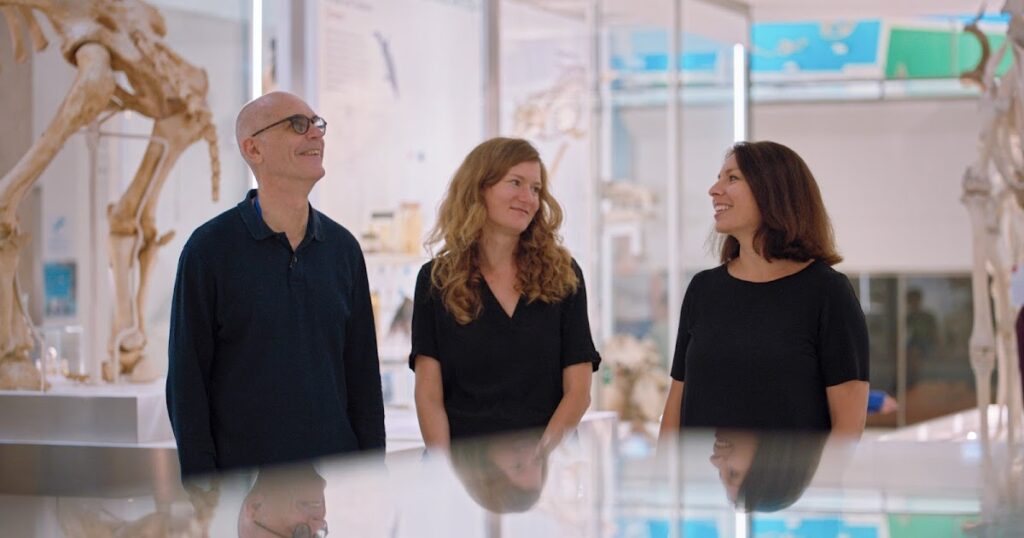 mITgFCpsNhXsasq0IZqVNwe FCBANMMSGs8KB9 qBXYSGCTb4btifF0 5evL3UHxa0WKd1YvrZoUjNcNE bgjSxPjs9YzrNYiCD