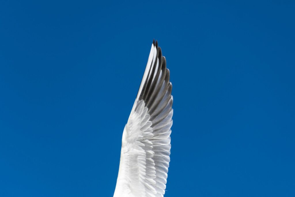 ali alavi fWKMa 1i7zA unsplash scaled 1