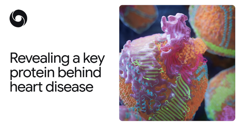 AlphaFold Reveals a Key Protein Behind Heart Disease