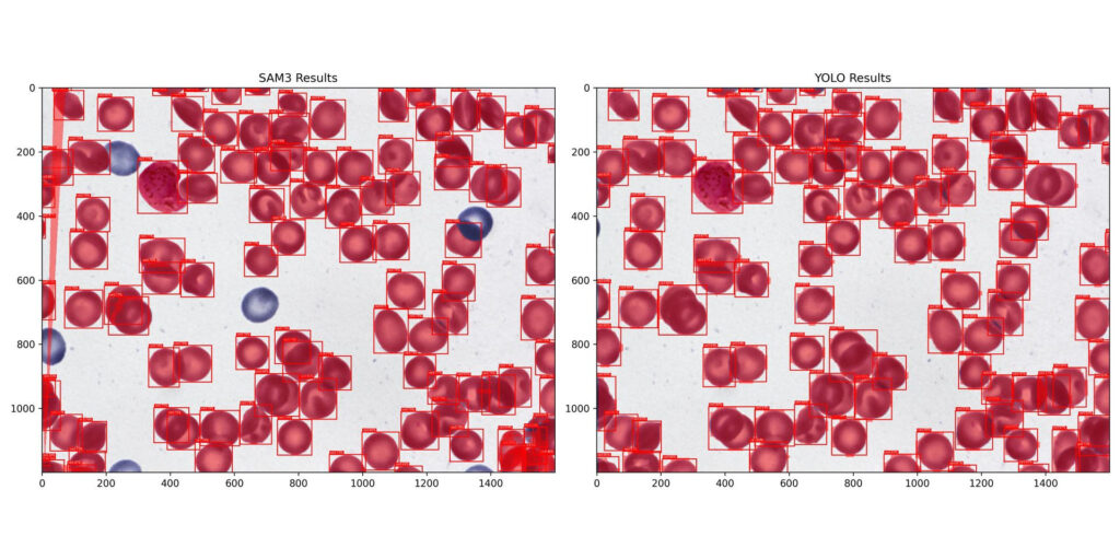 5f9754e8 0210 4d79 a7e0 8fdf92823c16 1920x960