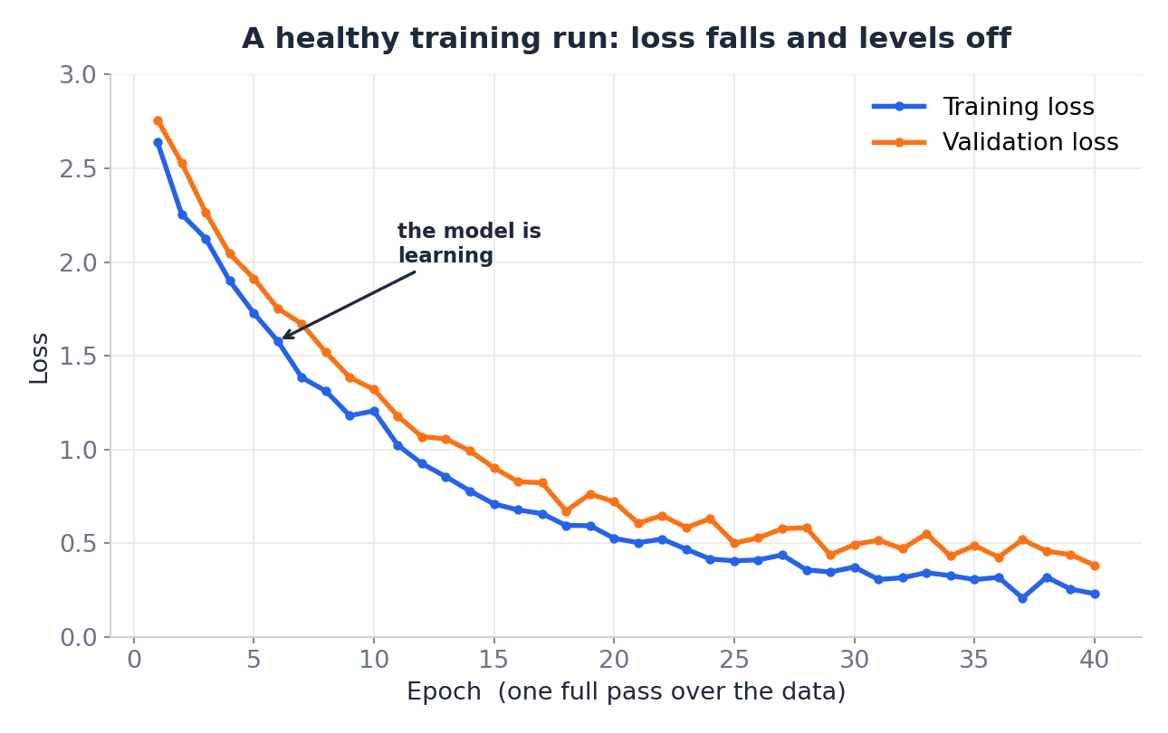 Loss Function Explained For Noobs (How Models Know They Are Wrong) 4 Training loss curve