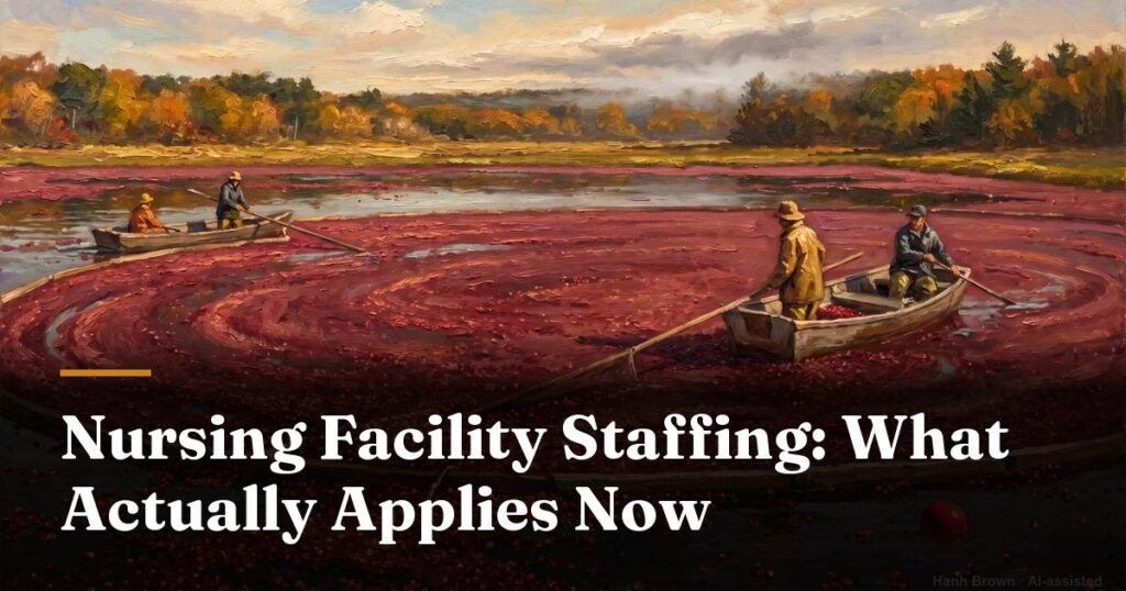 nursing facility staffing